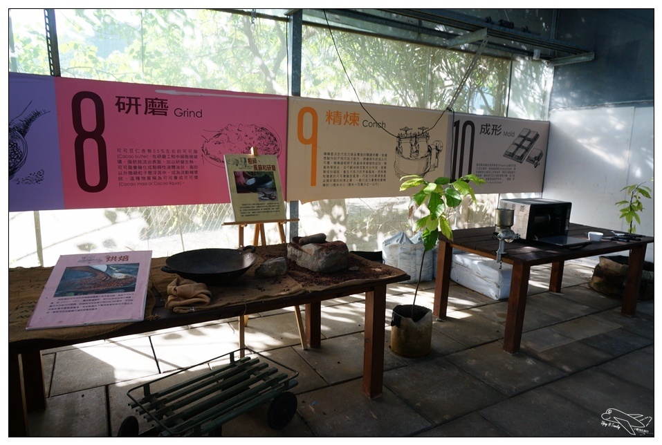 [墾丁親子飯店]2016悠活主題夏令營YOHO BEACH RESORT。台灣clubmed，精緻夏令營參與記錄～阿信巧克力農場、台菜料理王餐廳、萬里桐海邊觀星