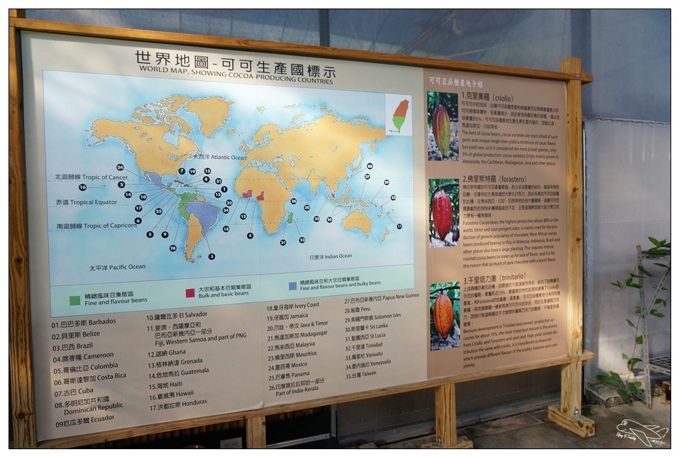 [墾丁親子飯店]2016悠活主題夏令營YOHO BEACH RESORT。台灣clubmed，精緻夏令營參與記錄～阿信巧克力農場、台菜料理王餐廳、萬里桐海邊觀星