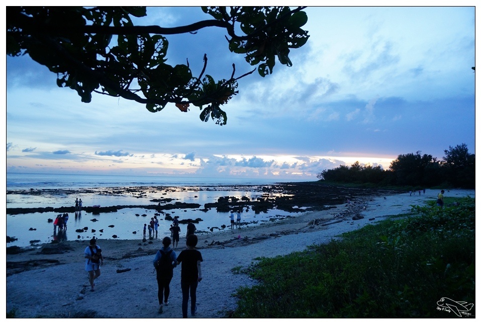 [墾丁親子飯店]2016悠活主題夏令營YOHO BEACH RESORT。台灣clubmed，精緻夏令營參與記錄～阿信巧克力農場、台菜料理王餐廳、萬里桐海邊觀星
