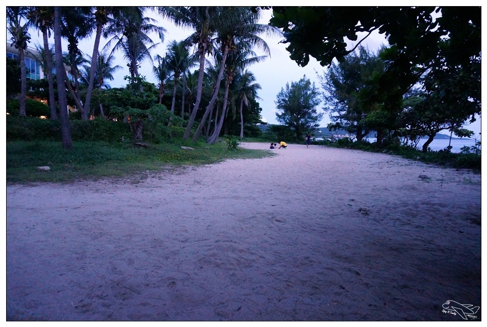[墾丁親子飯店]2016悠活主題夏令營YOHO BEACH RESORT。台灣clubmed，精緻夏令營參與記錄～阿信巧克力農場、台菜料理王餐廳、萬里桐海邊觀星
