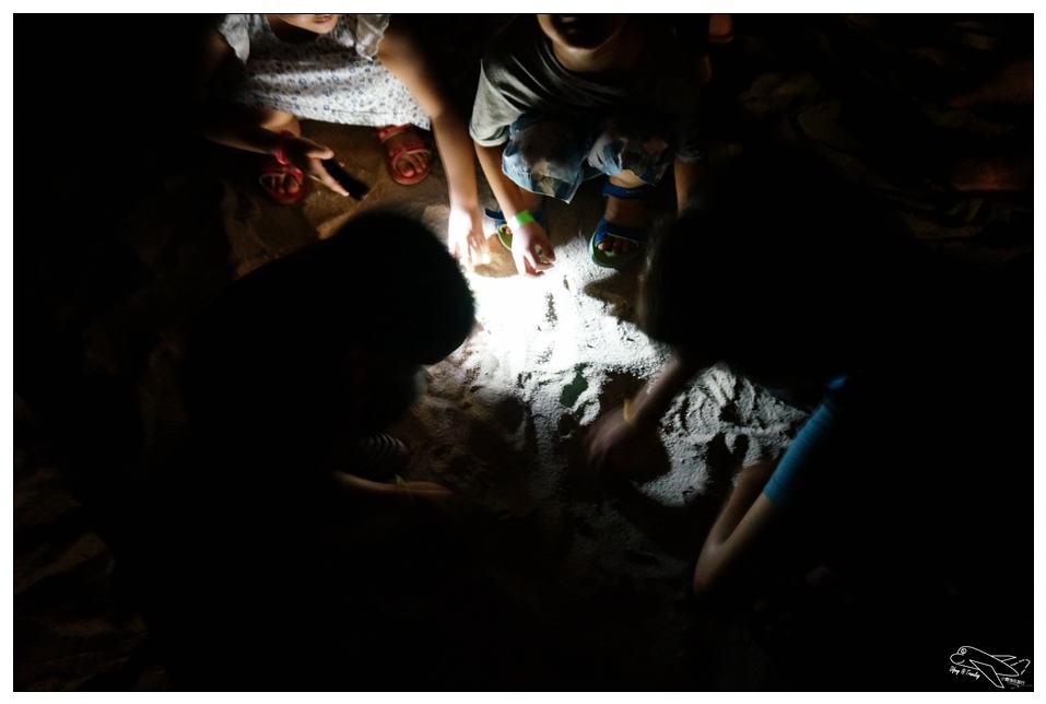 [墾丁親子飯店]2016悠活主題夏令營YOHO BEACH RESORT。台灣clubmed，精緻夏令營參與記錄～阿信巧克力農場、台菜料理王餐廳、萬里桐海邊觀星