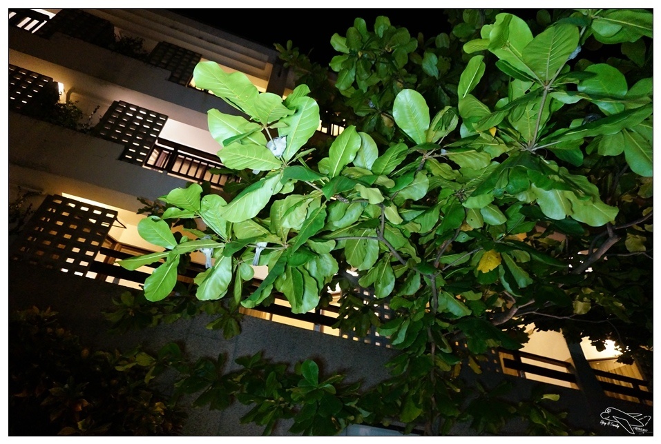 [墾丁親子飯店]2016悠活主題夏令營YOHO BEACH RESORT。台灣clubmed，精緻夏令營參與記錄～阿信巧克力農場、台菜料理王餐廳、萬里桐海邊觀星