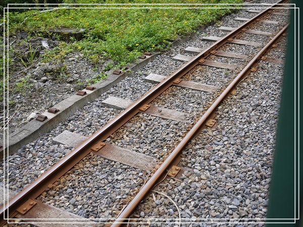 [日子的顏色]週六跑透透….