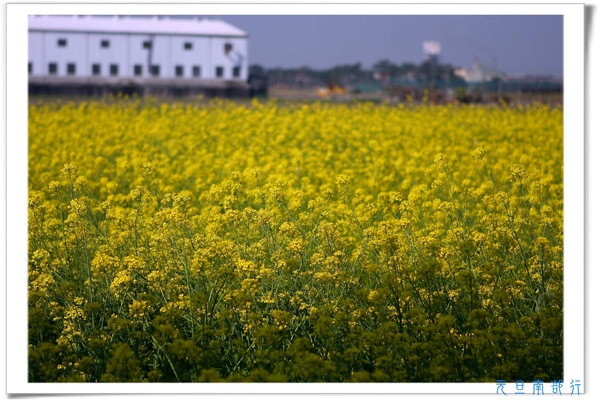[日子的顏色]年假南遷。曬小孩~