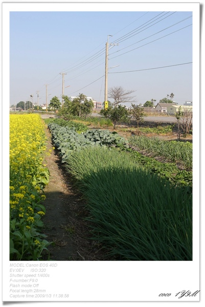 [日子的顏色]年假南遷。曬小孩~