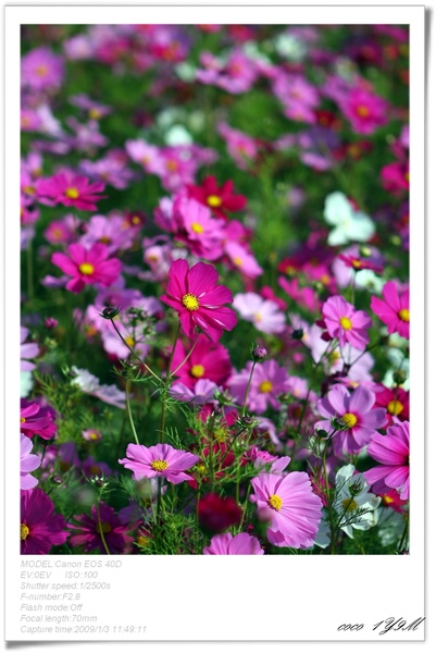 [日子的顏色]年假南遷。曬小孩~