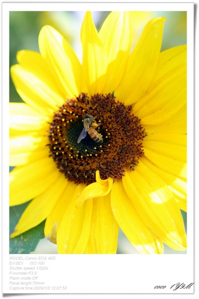 [日子的顏色]年假南遷。曬小孩~