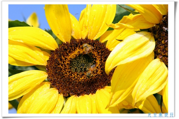 [日子的顏色]年假南遷。曬小孩~