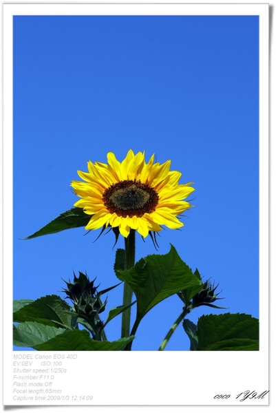 [日子的顏色]年假南遷。曬小孩~