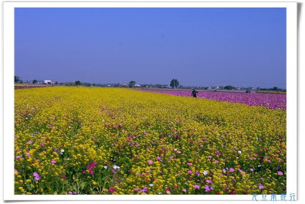 [日子的顏色]年假南遷。曬小孩~