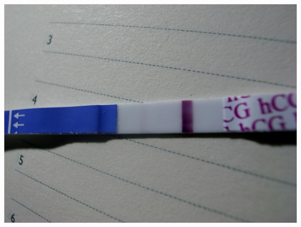 [paton。二。孕]驗孕的心情