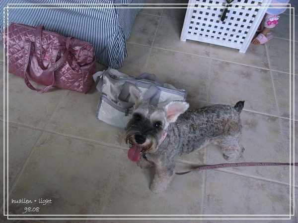 [國內趴趴走]hualien。light~民宿