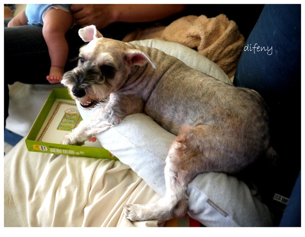 [日子的顏色]7.10家庭速記