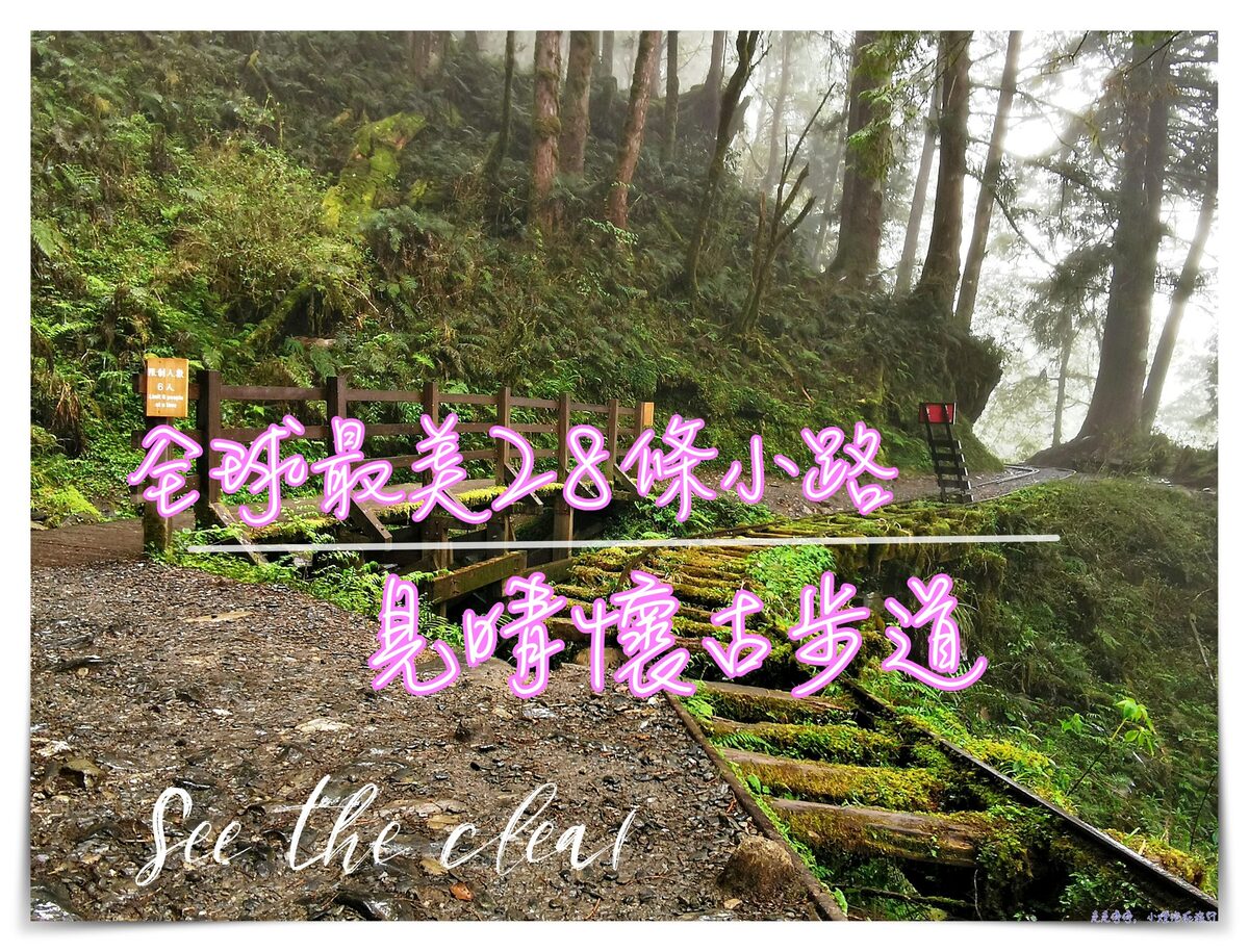 世界最美28條小路之一｜宜蘭太平山。見晴懷古步道，see the clear，讓心放空、讓身子舒坦的絕美火紅步道～ @走走停停，小燈泡在旅行