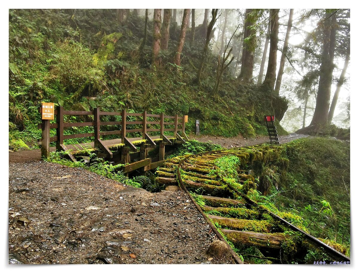 世界最美28條小路之一｜宜蘭太平山。見晴懷古步道，see the clear，讓心放空、讓身子舒坦的絕美火紅步道～