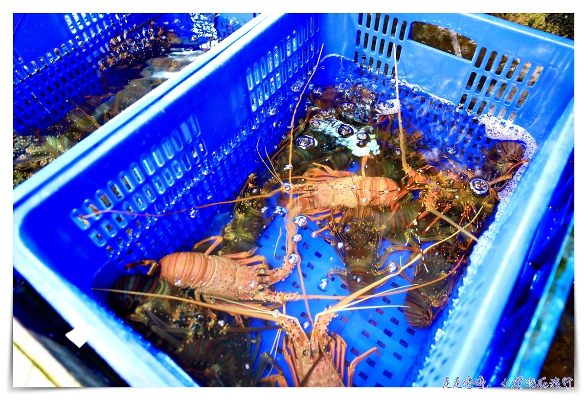 055龍蝦海鮮餐廳｜花蓮司機都知道，海景第一排龍蝦盛宴