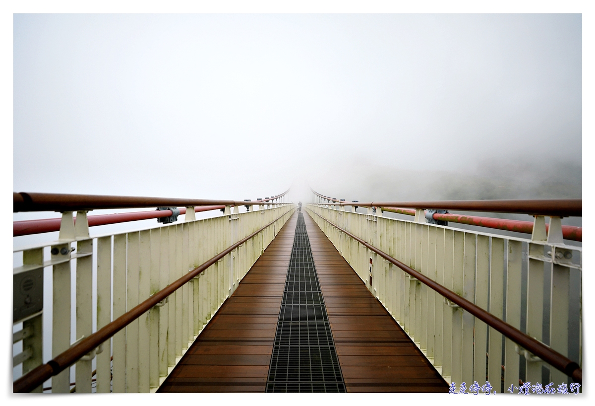 梅山太平雲梯｜梅山36彎、梅山老街、太平雲梯，漫步在雲端、一分鐘一景色，台灣海拔最高單吊式吊橋