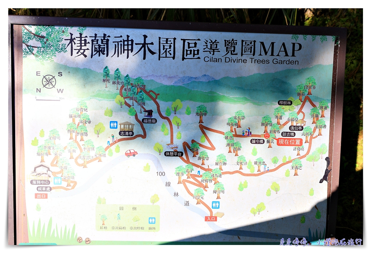 亞洲最大神木園區｜棲蘭森林遊樂區神木園區，看見台灣不一樣的價值瑰麗寶藏，中國古人命名的巨大神木，準世遺名單