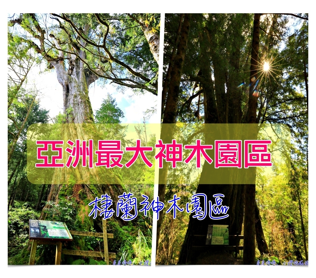 延伸閱讀：亞洲最大神木園區｜棲蘭森林遊樂區神木園區，看見台灣不一樣的價值瑰麗寶藏，中國古人命名的巨大神木，準世遺名單