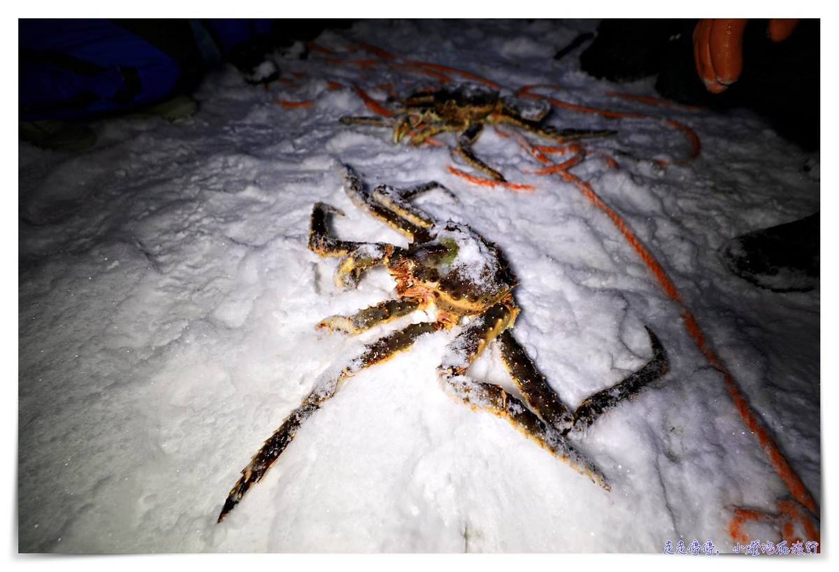挪威帝王蟹吃到飽行程｜Snowhotel Kirkenes King Crab Safari Winter，來一場雪上，來一場雪上抓蟹、大口吃蟹～ @走走停停，小燈泡在旅行