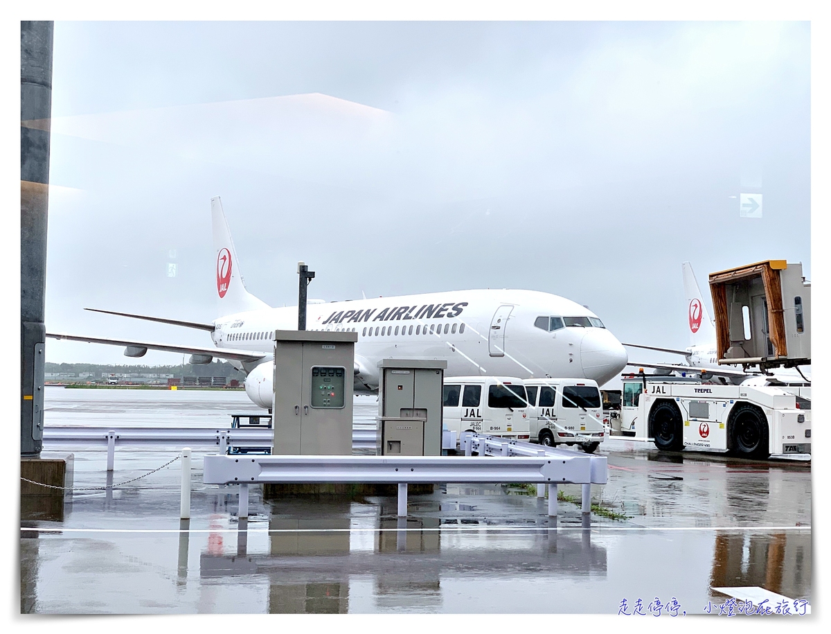 東京飛札幌｜日本航空JAL國內線班機搭乘，國際線轉國內線，成田機場飛札幌新千歲機場