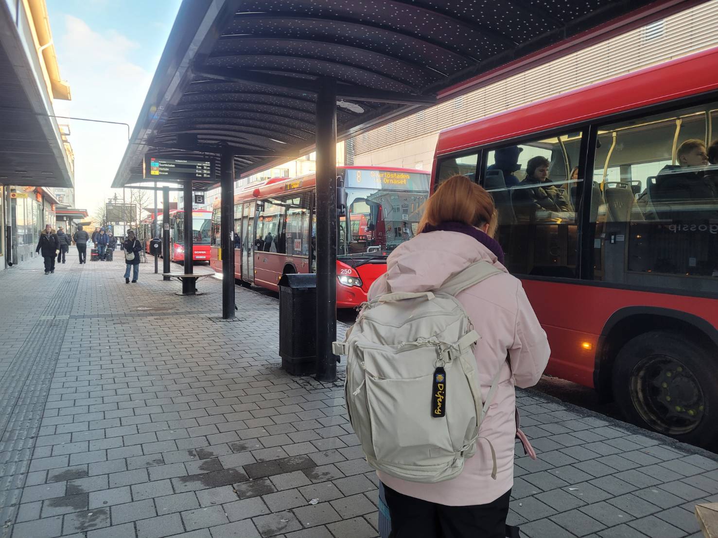 《2026年》【歐洲交通比較】火車、租車、巴士哪個適合新手？完整攻略一次懂！