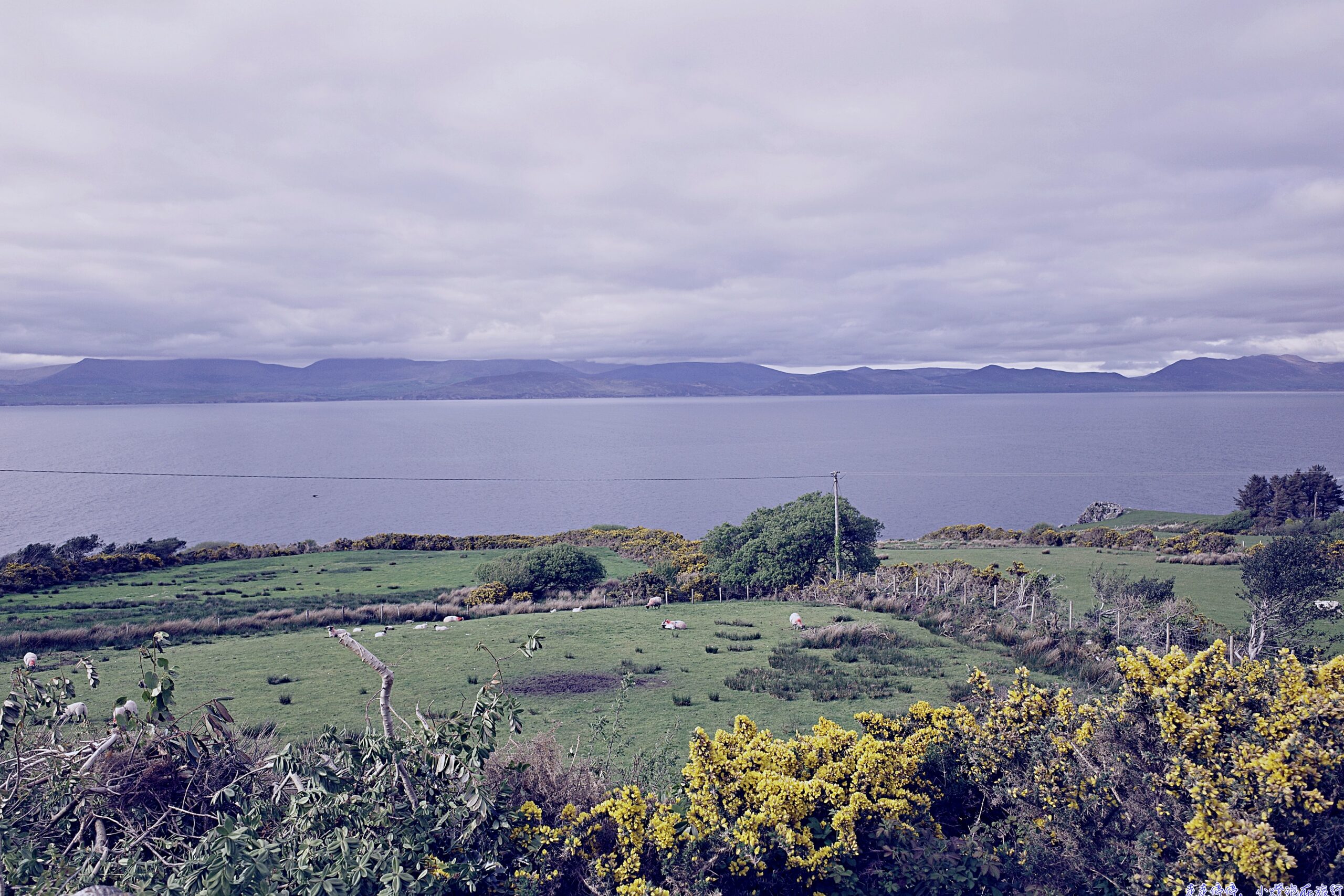 《2026年》愛爾蘭自駕攻略：10天歐洲自由行行程、景點、住宿、交通全解析