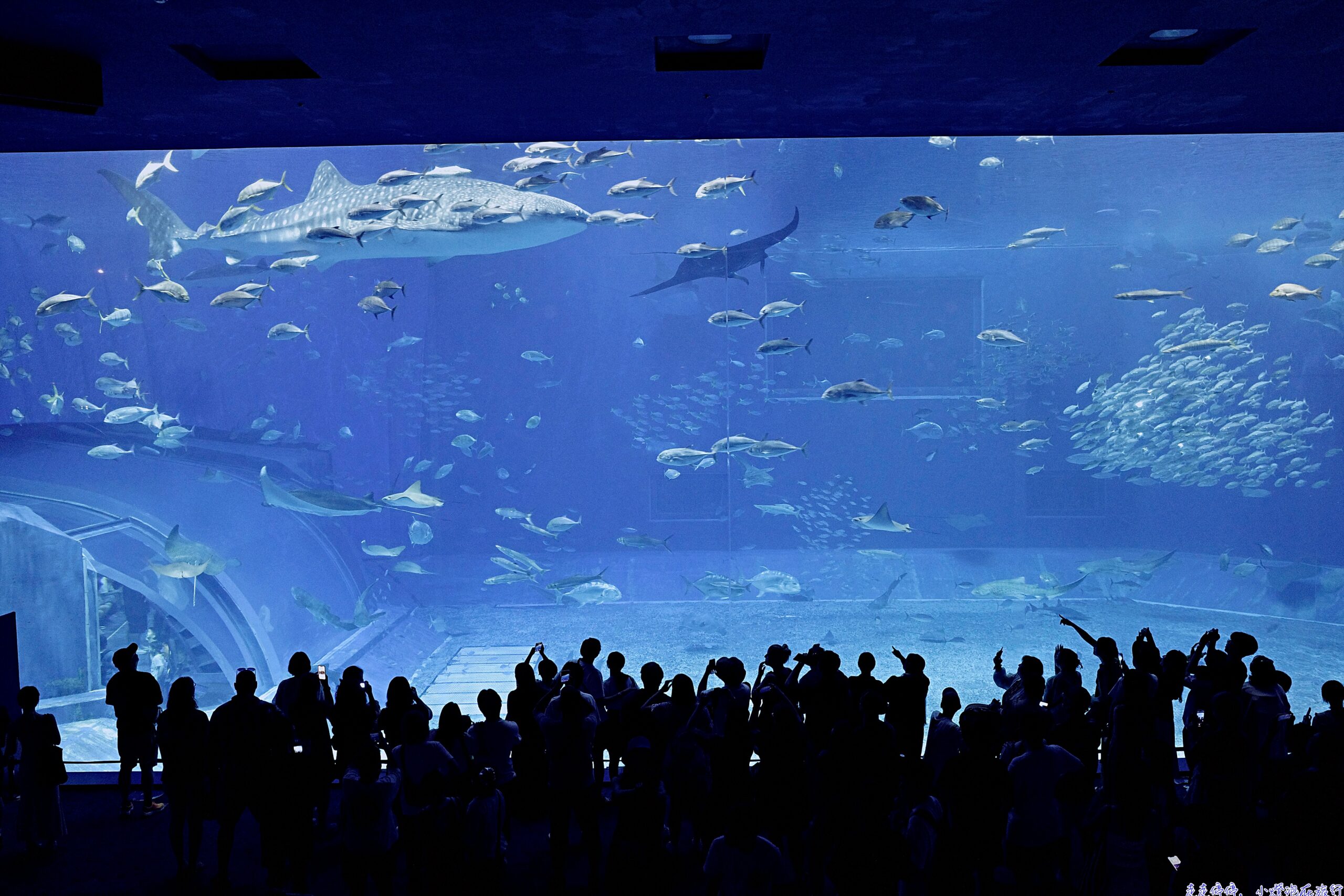 2026年沖繩5天親子旅行行程攻略：樂桃航空、自駕與親子樂趣 @走走停停，小燈泡在旅行