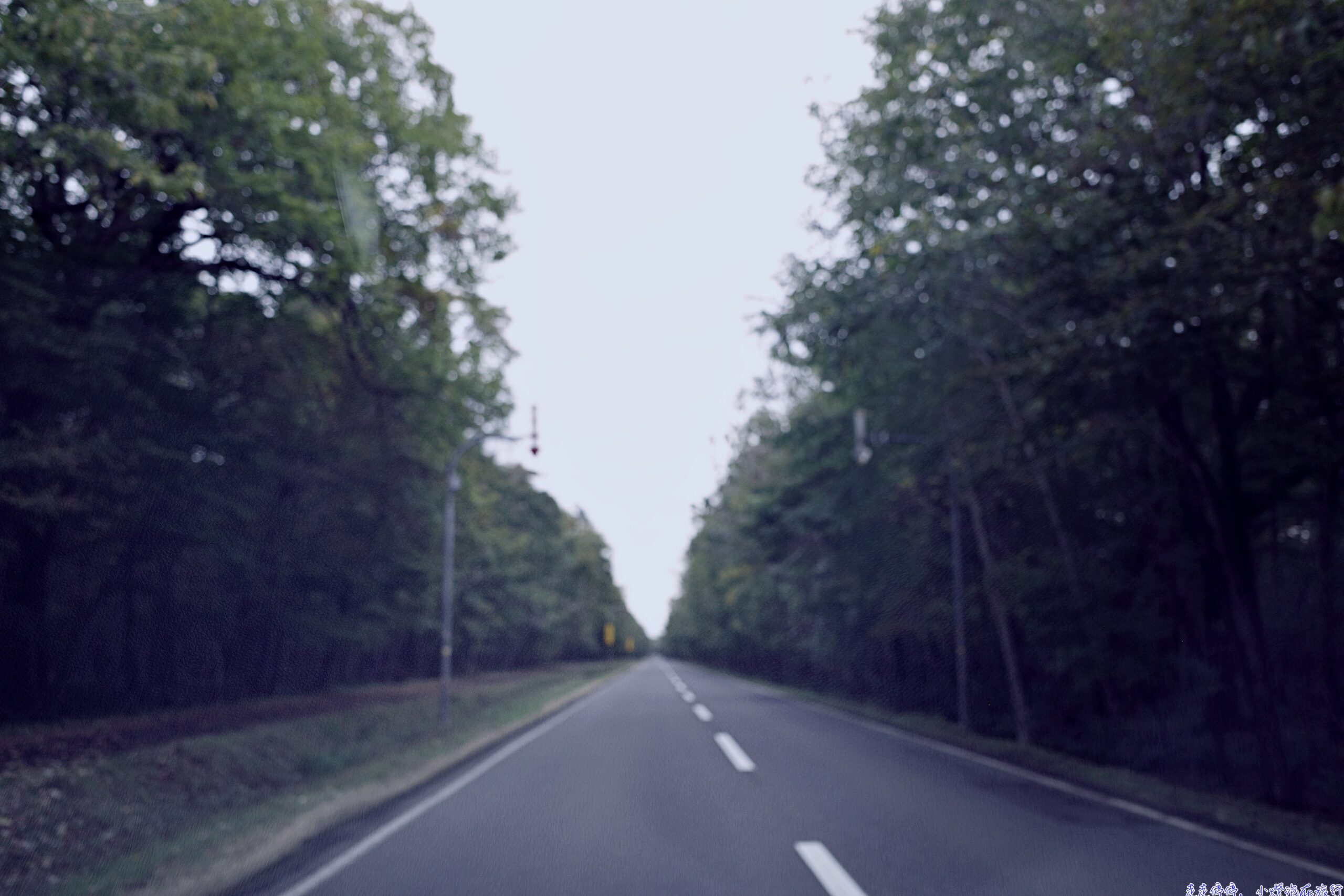 北海道自駕還車流程全攻略｜二世谷到新千歲＋長榮BR115返台心得【D5日記】