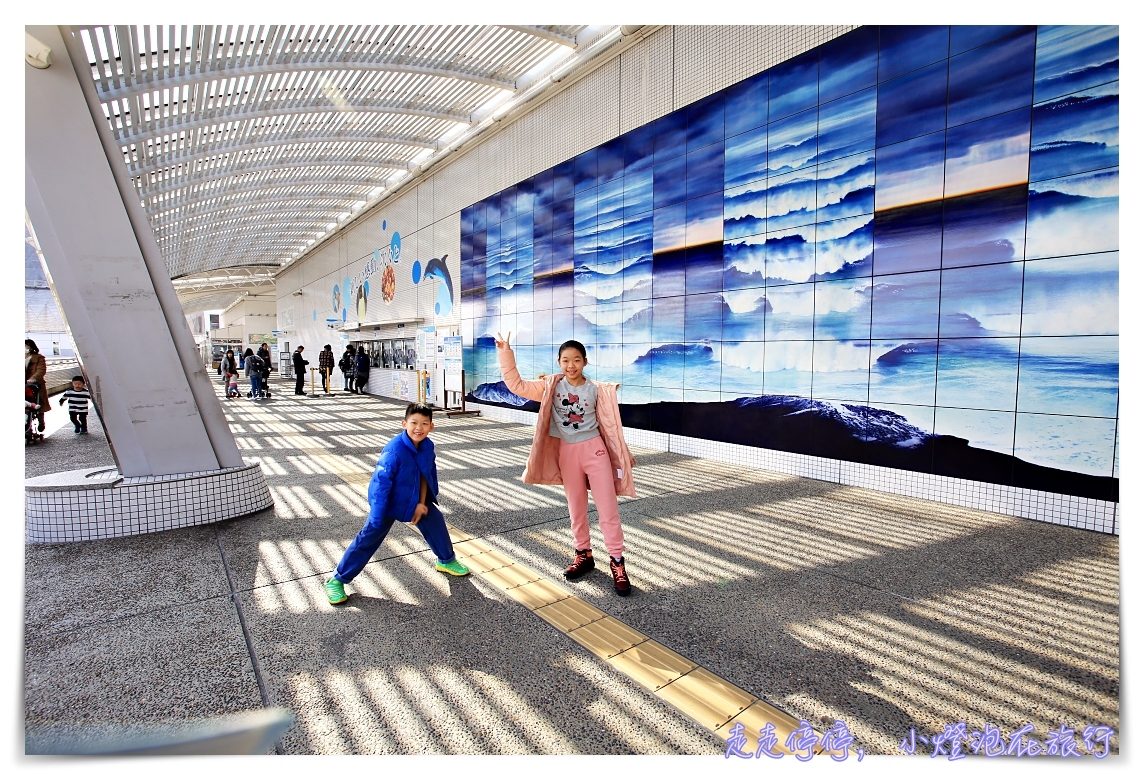 名古屋港水族館｜日本最大海豚虎鯨表演場，親子名古屋歡樂景點～（圖超多。超精彩行程）