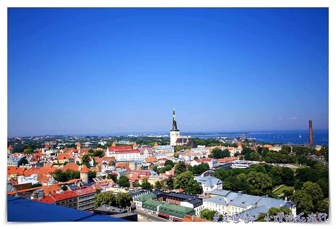愛沙尼亞塔林鐵三角經典鳥瞰美景位置｜KGB博物館、聖奧拉夫教堂、塔林觀景台～