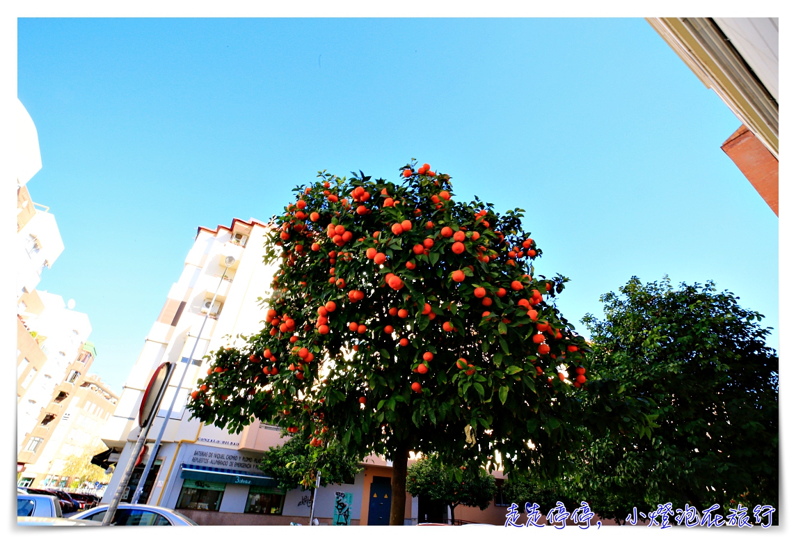 西班牙塞維亞，冬日的橘子城市之美～慢慢走，這個城市不催你～