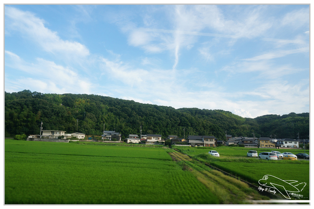 [2014。日本親子自助。四國山陽趴趴走]山陽｜倉敷美觀地區。超美小古鎮。值得待上大半天，晚上更美噢！