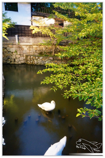 [2014。日本親子自助。四國山陽趴趴走]山陽｜倉敷美觀地區。超美小古鎮。值得待上大半天，晚上更美噢！